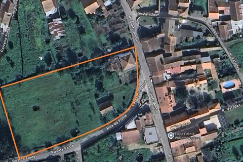 Landsbyhus i Anadia, Aveiro, Anadia - € 360.000 | Ref: MM002407 - foto 41